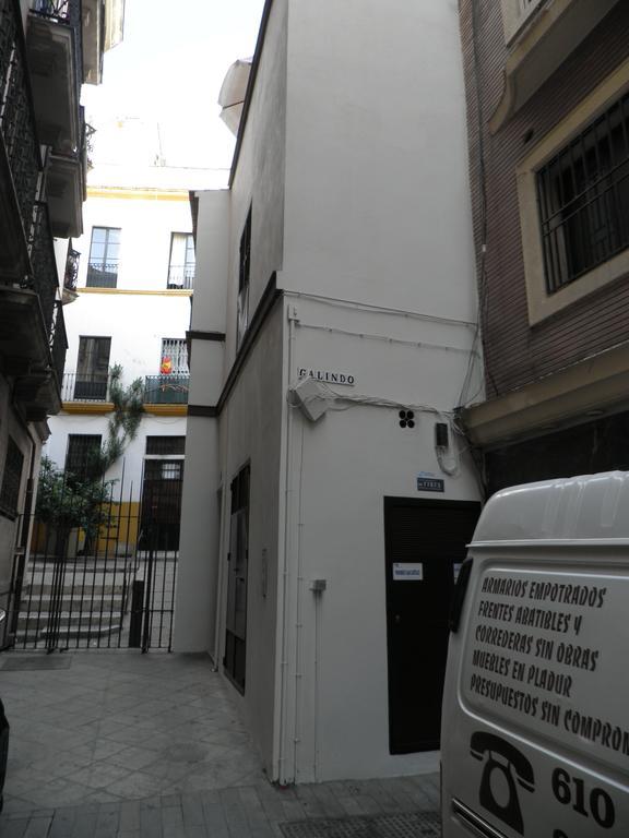 Centro Plaza Salvador * Sevilla