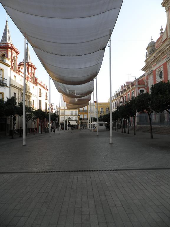 Centro Plaza Salvador * Sevilla